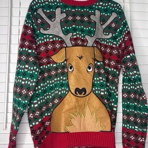 Festive Reindeer Sweater - Green and Red